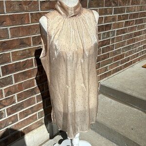 Zara Semi-Sheer Polka Dot Blouse